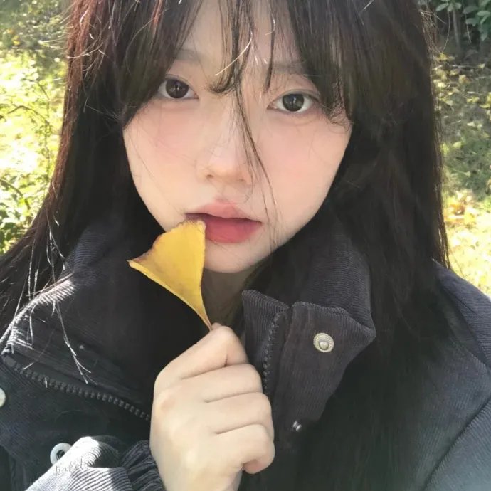 这是我的岛